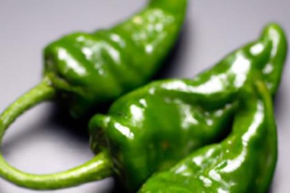 Sizzling Shishito Peppers: A Simple Sea Salt Delight